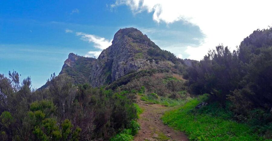 From Funchal: Machico to Porto da Cruz Larano Cliff Hike - Key points at a glance