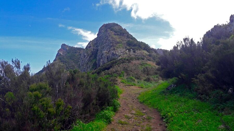 From Funchal: Machico to Porto da Cruz Larano Cliff Hike - Climbing toward the Larano Cliff