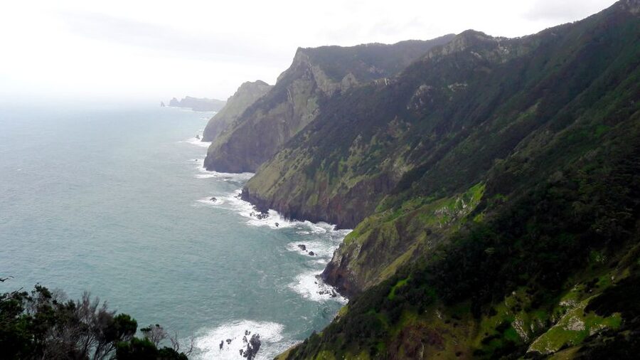 From Funchal: Machico to Porto da Cruz Larano Cliff Hike - The ocean views toward São Lourenço and Porto Santo