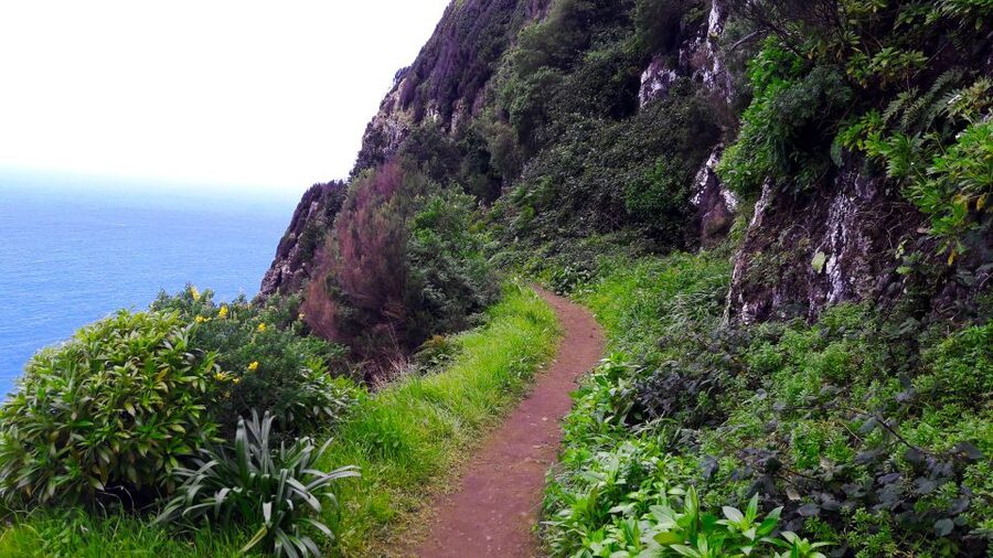 From Funchal: Machico to Porto da Cruz Larano Cliff Hike - Fitness, footwear, and what to bring