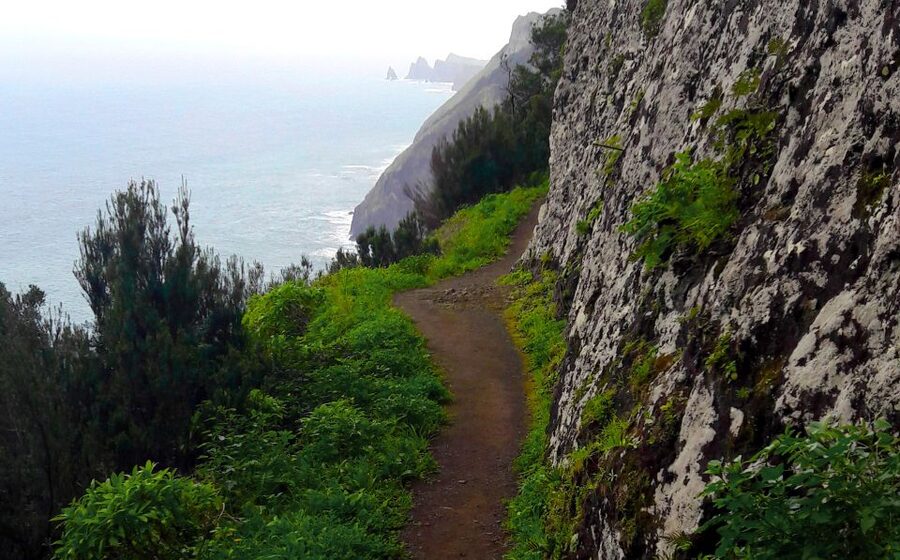 From Funchal: Machico to Porto da Cruz Larano Cliff Hike - The first miles through Madeira’s working countryside