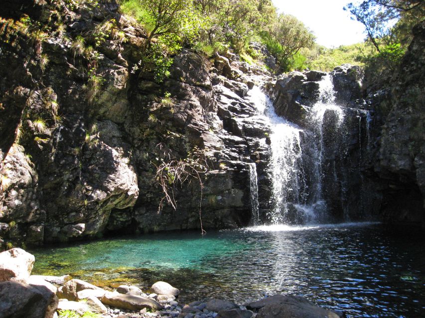 From Funchal: Madeira Lakes Levada Guided Hike - Why Madeira’s levadas make this hike special