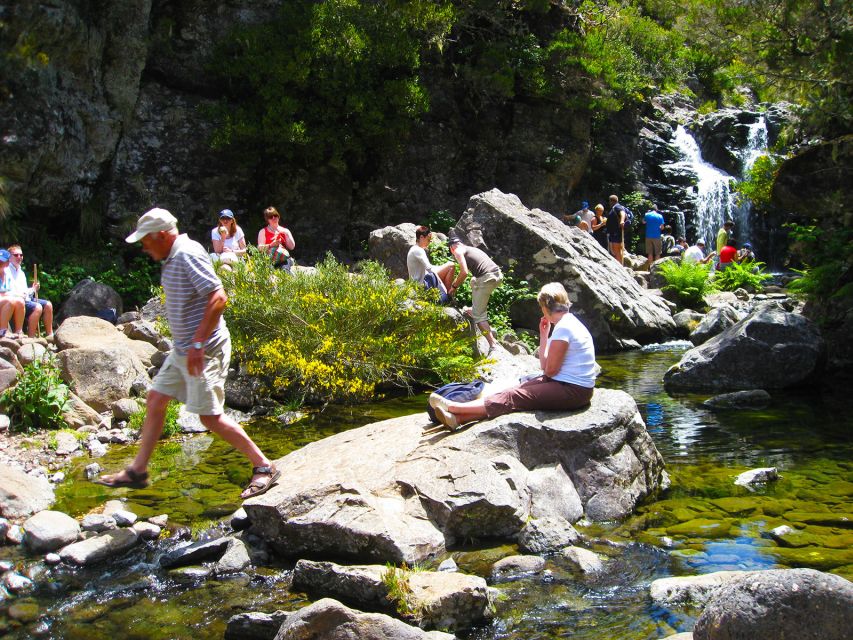 From Funchal: Madeira Lakes Levada Guided Hike - The morning pickup from Funchal