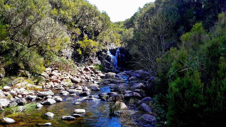 From Funchal: Madeira Lakes Levada Guided Hike - The uphill section and wide Madeira views