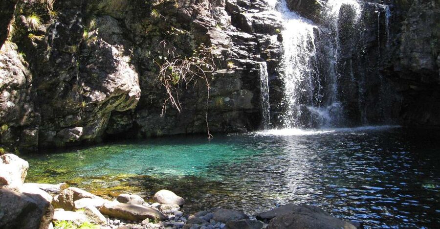 From Funchal: Madeira Lakes Levada Guided Hike - Starting along the Levada do Alecrim
