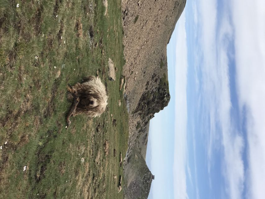 From Granada: High Sierra Nevada hiking experience - Is this hike right for you?