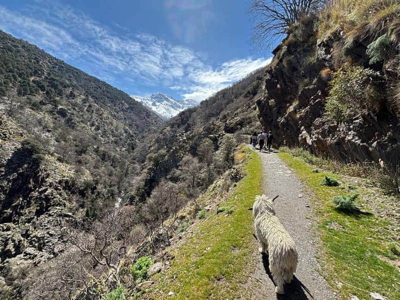 From Granada: High Sierra Nevada hiking experience - The climb above 3,000 meters