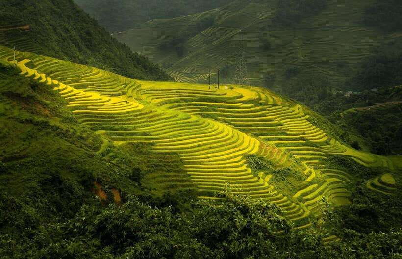 From Hanoi: 1-day Sapa Trekking Tour With Overnight Bus - Key points at a glance