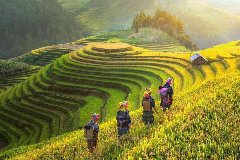 From Hanoi: 1-day Sapa Trekking Tour With Overnight Bus - Ta Van Village and a local homestay lunch