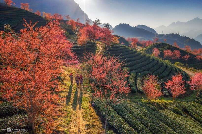 From Hanoi: 1-day Sapa Trekking Tour With Overnight Bus - Returning to Sapa and catching the afternoon bus