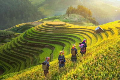 2-Day Luxury Sapa Trekking Tour with Homestay