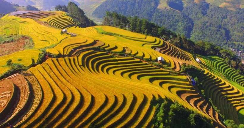 From Hanoi: 2-Day Luxury Sapa Trekking Tour with Homestay - Food, comfort, and what the $110 includes