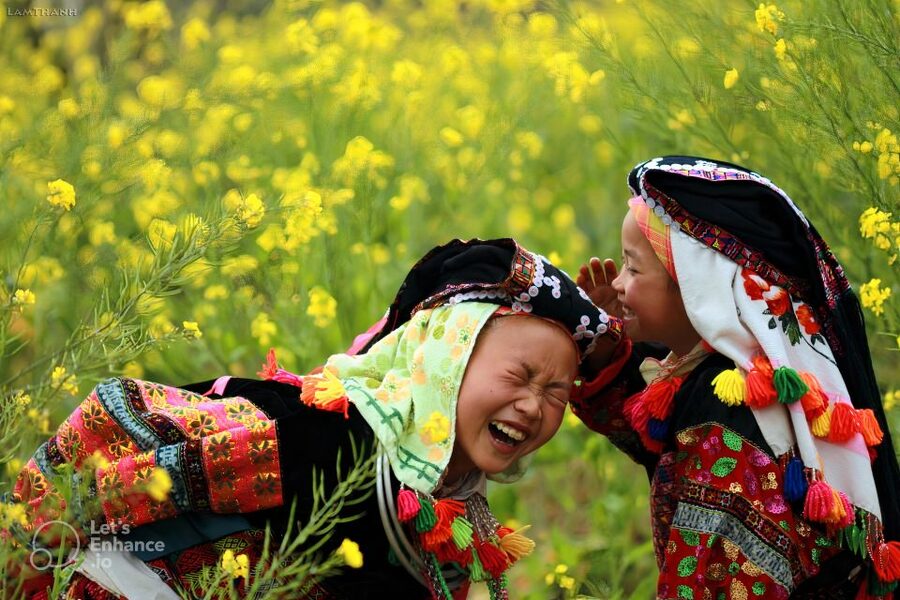From Hanoi: 2-Day Sapa-Fansipan Peak & Trek & Ha Giang Bus - Who should book this Sapa and Fansipan combination?