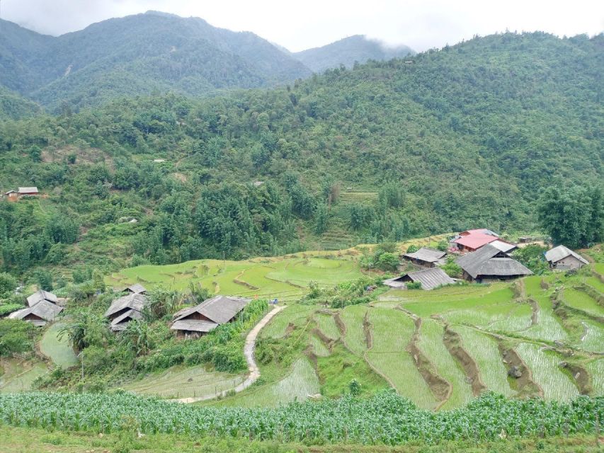 From Hanoi: 2-Day Sapa Trekking Trip with Homestay & Meals - Who should book this Sapa homestay trek
