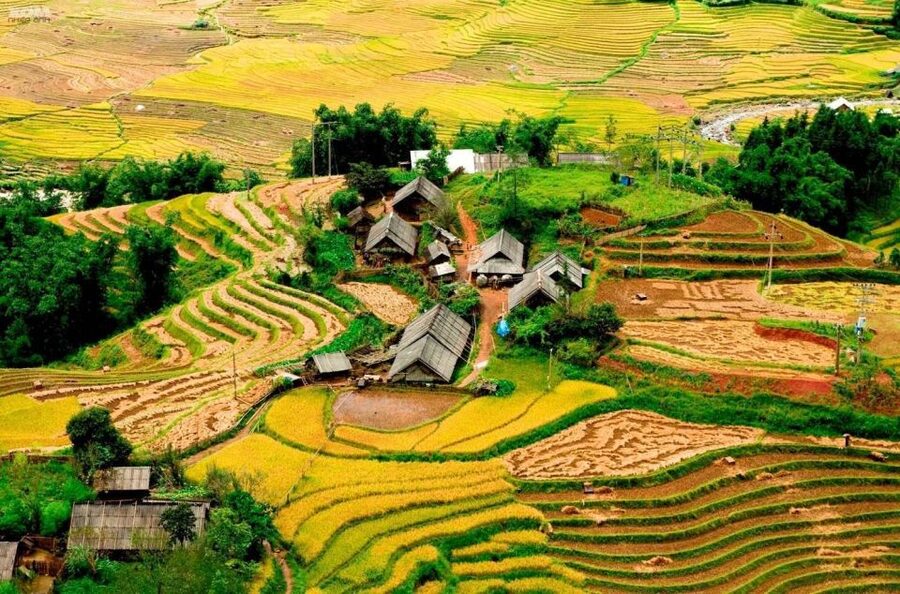 From Hanoi: 2-Day Sapa Trekking Trip with Homestay & Meals - Walking from Y Linh Ho to Lao Chai and Ta Van