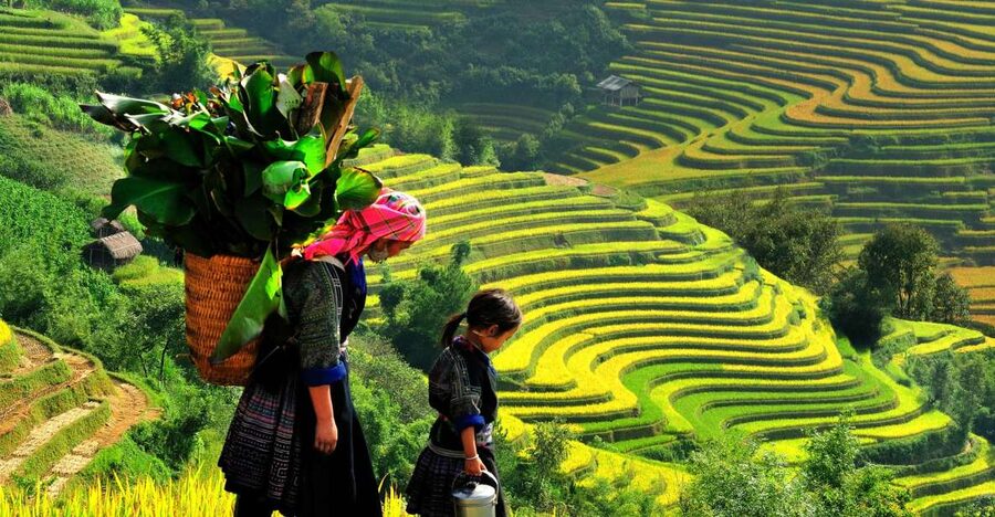 From Hanoi: 2-Day Trekking To Villages In Sapa with Homestay - Day one: Hanoi to Sapa and into Muong Hoa Valley