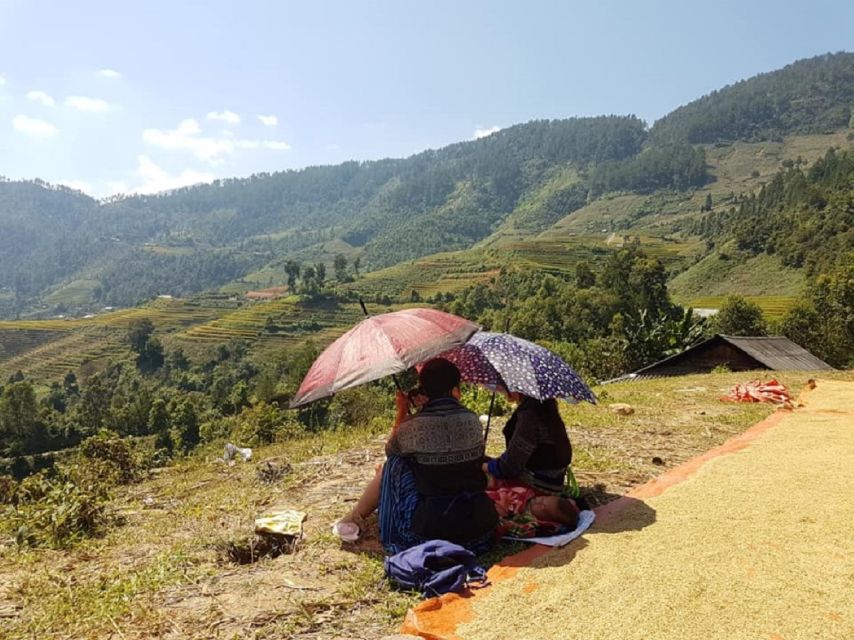 From Hanoi: 2-Day Trekking To Villages In Sapa with Homestay - Booking decision