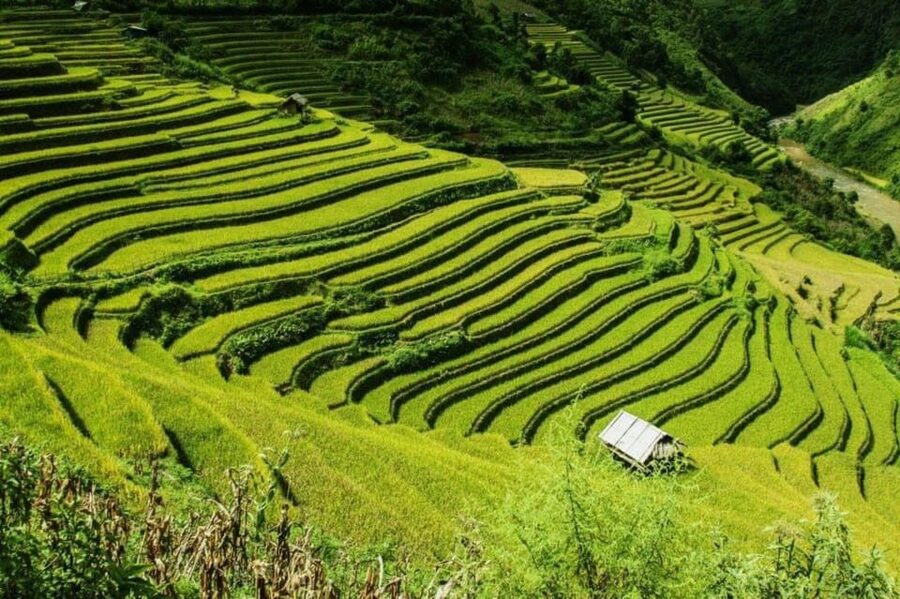 From Hanoi: 2-Days Sapa Trekking Tour Lao Chai and Cat Cat - Why this two-day Sapa trip works