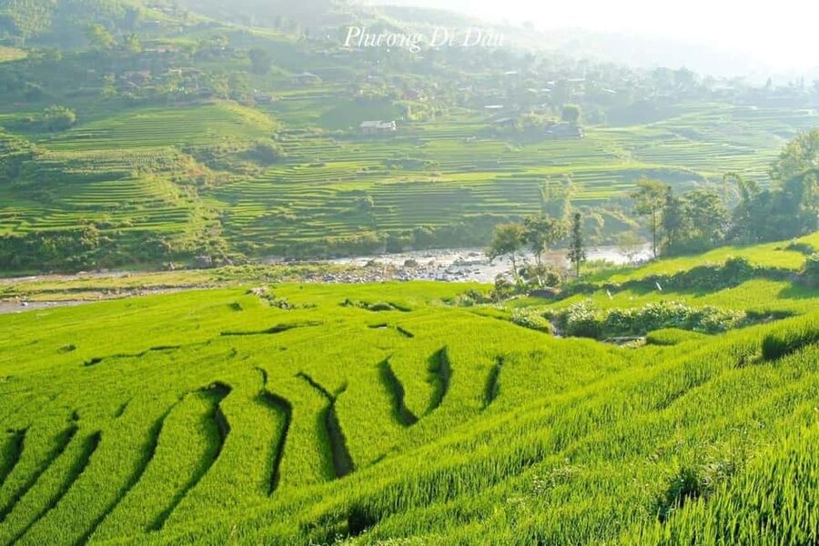 From Hanoi: 2-Days Sapa Trekking Tour Lao Chai and Cat Cat - Ta Van Village and the Dzay community