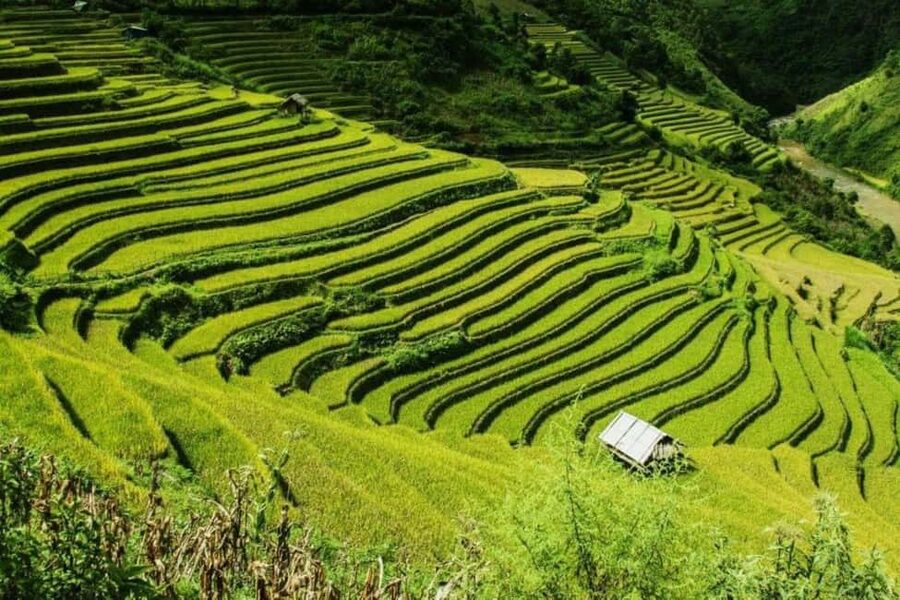 From Hanoi: 2-Days Sapa Trekking Tour Lao Chai and Cat Cat - From Hanoi to Lao Cai by limousine