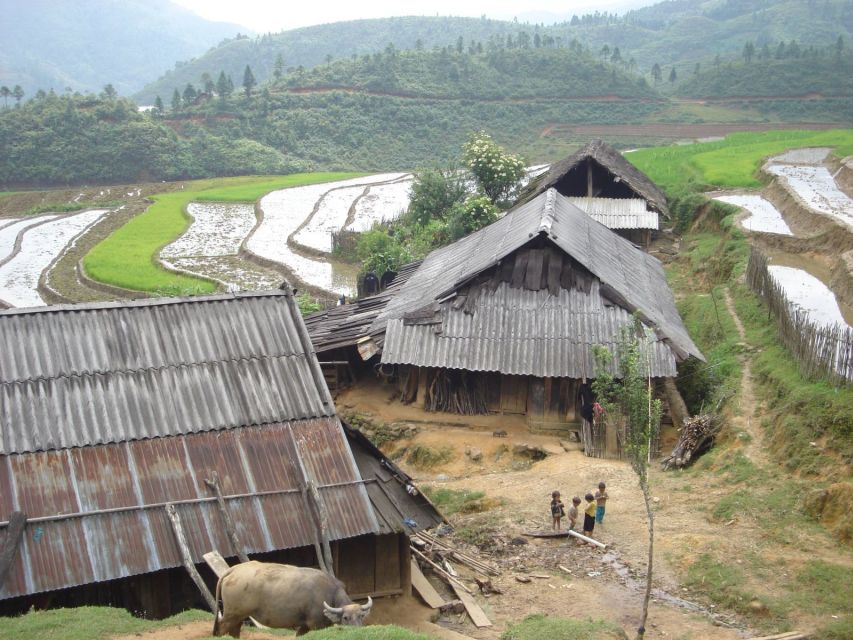 From Hanoi: Sapa 3-Day Medium Trek and Limousine Trip - Food, rooms, and what the $165 price covers
