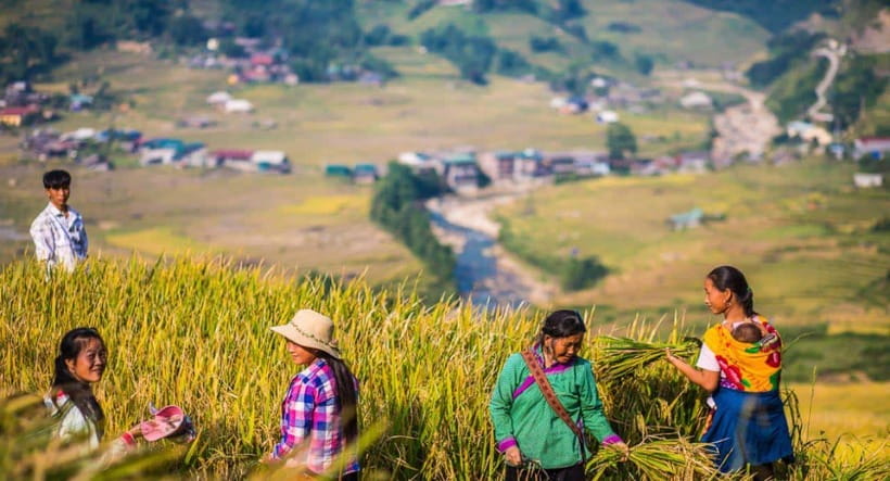 From Hanoi: Trek and Stay: 3-Day Sapa Highlands Adventure - The guides are the biggest strength