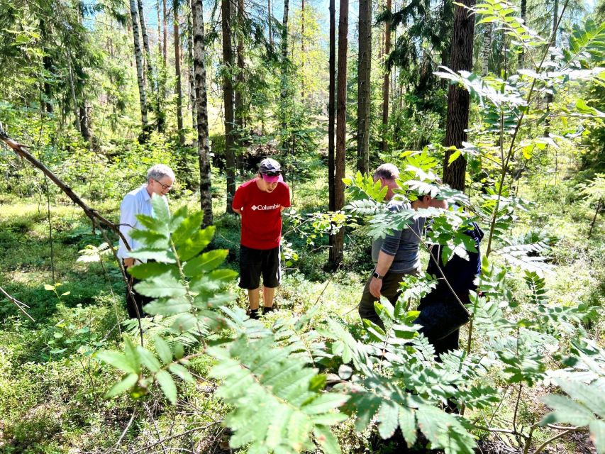 From Helsinki: Hike and Sauna in Sipoonkorpi National Park - Key points at a glance