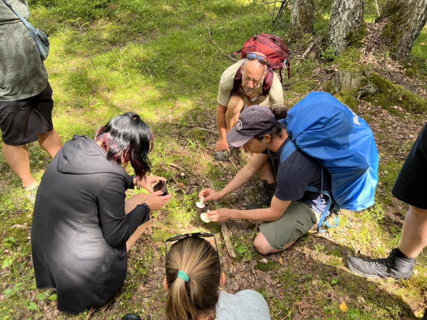 From Helsinki: Hike and Sauna in Sipoonkorpi National Park - Should you book the Sipoonkorpi hike and sauna?