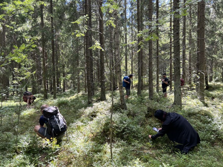 From Helsinki: Hike and Sauna in Sipoonkorpi National Park - A campfire barbecue with lake views