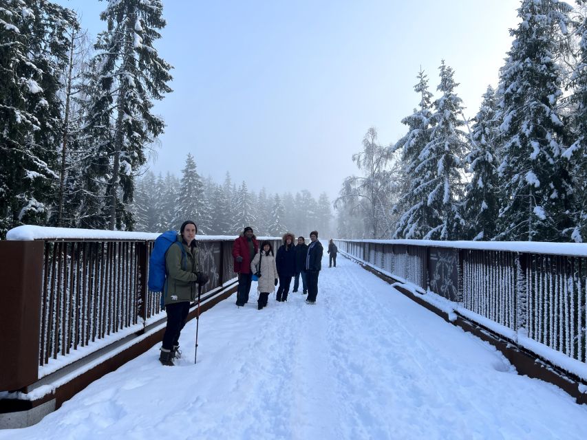 From Helsinki: Hike and Sauna in Sipoonkorpi National Park - Who should book this day trip?