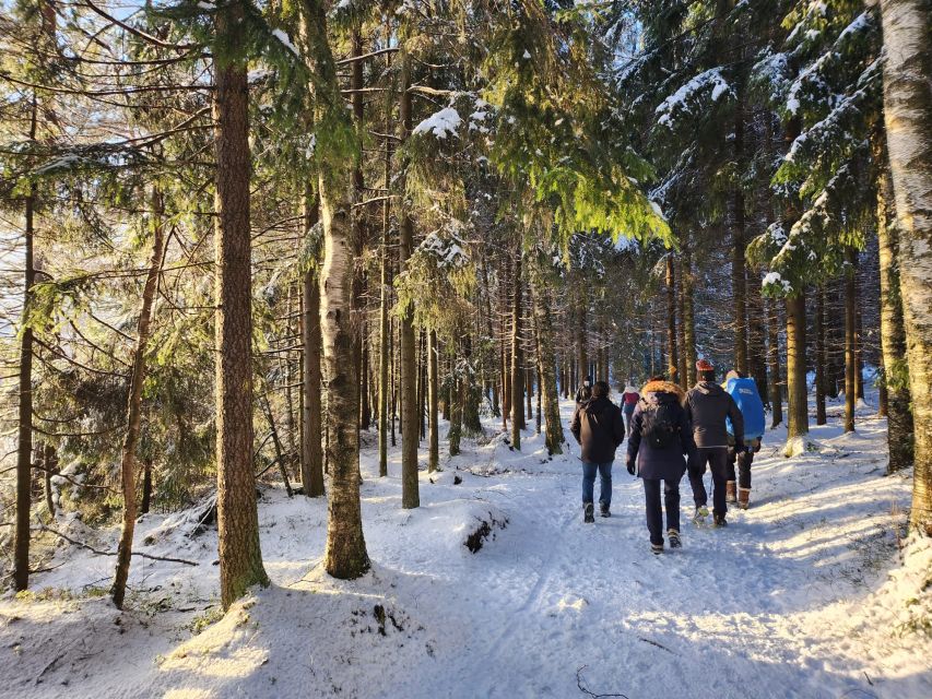 From Helsinki: Hike and Sauna in Sipoonkorpi National Park - What to pack for the day