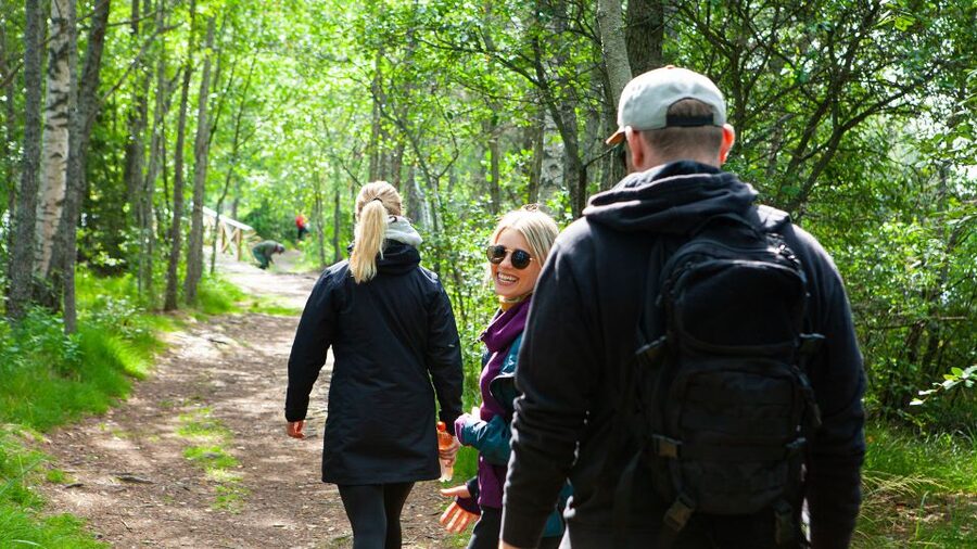 From Helsinki: Magical Taiga Hike in Liesjärvi National Park - The lake stop and Finnish-style lunch