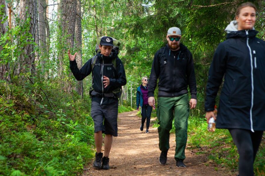 From Helsinki: Magical Taiga Hike in Liesjärvi National Park - Why the small group makes a difference