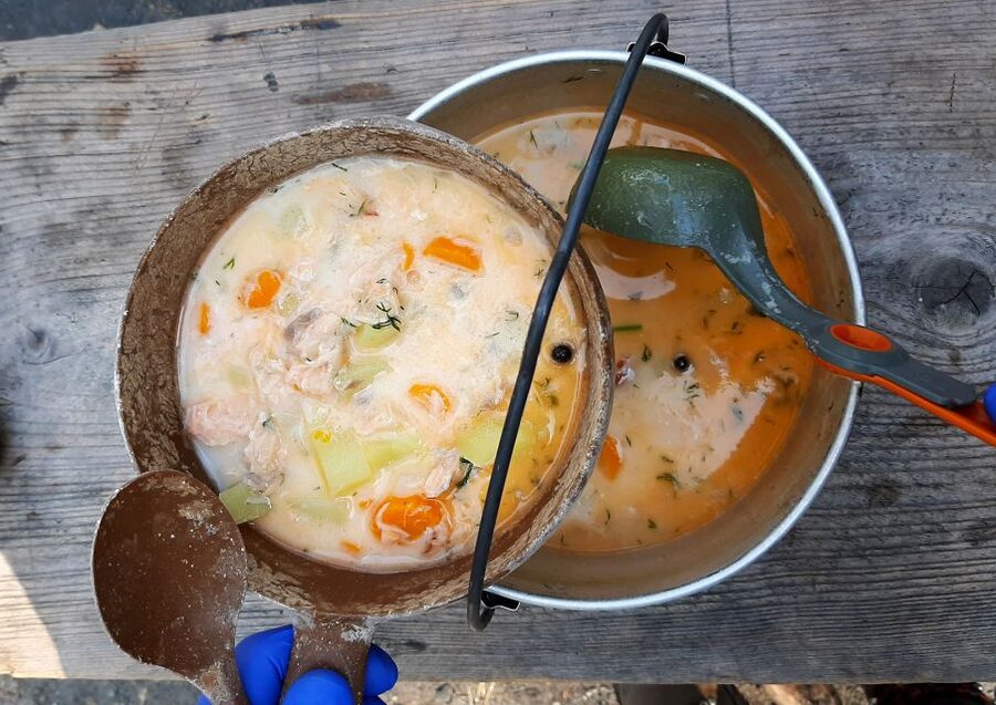 From Helsinki: Magical Taiga Hike in Liesjärvi National Park - The $182 price and what it buys you