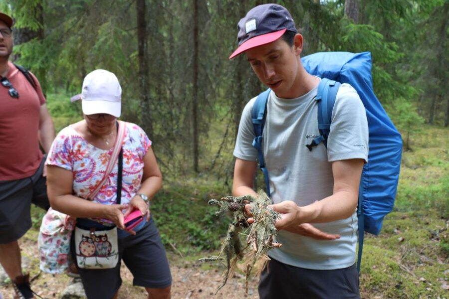 From Helsinki: Magical Taiga Hike in Liesjärvi National Park - Who should book this outing