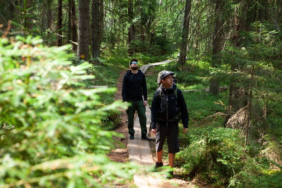 From Helsinki: Magical Taiga Hike in Liesjärvi National Park - A 4.5 kilometer walk through Finnish Taiga