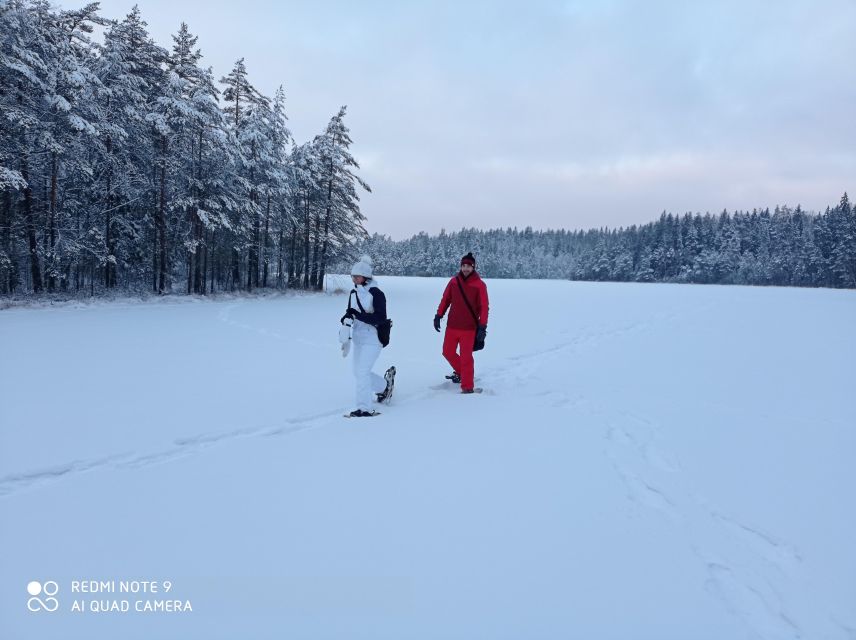 From Helsinki: Nuuksio National Park Hiking Tour with Food - Walking the Taiga forest for about three hours
