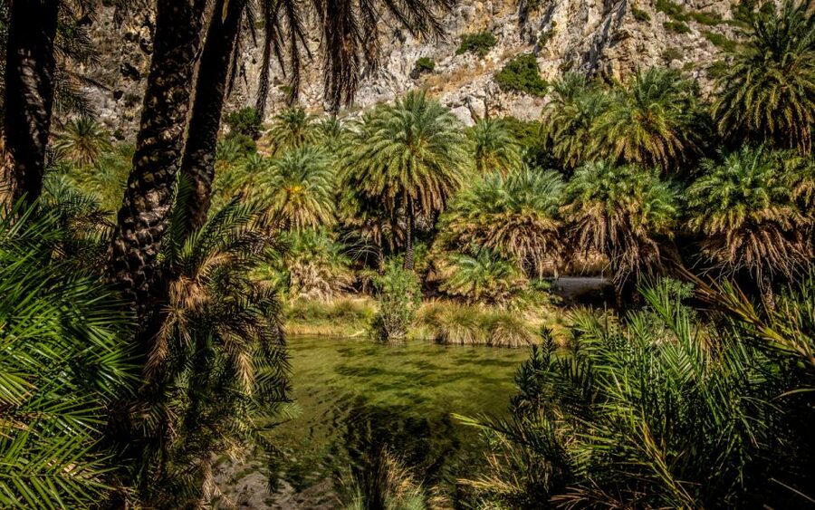 From Heraklion: Preveli Tropical Beach & Palm Forest Hike - FAQ