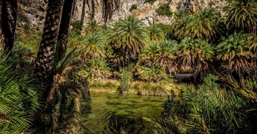 From Heraklion: Preveli Tropical Beach & Palm Forest Hike - Who will enjoy this most?