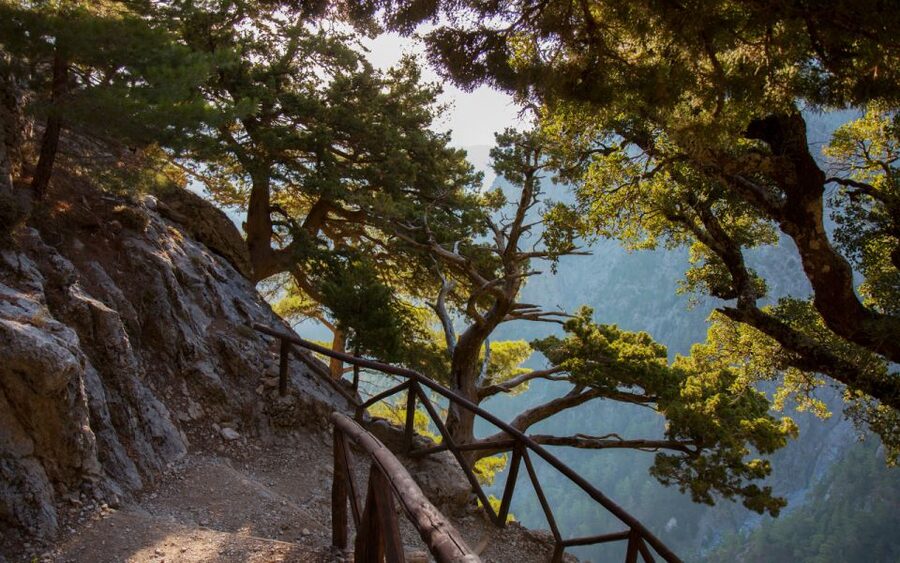 From Heraklion: Samaria Gorge Full-Day Guided Hiking Tour - The ferry from Agia Roumeli to Chora Sfakion