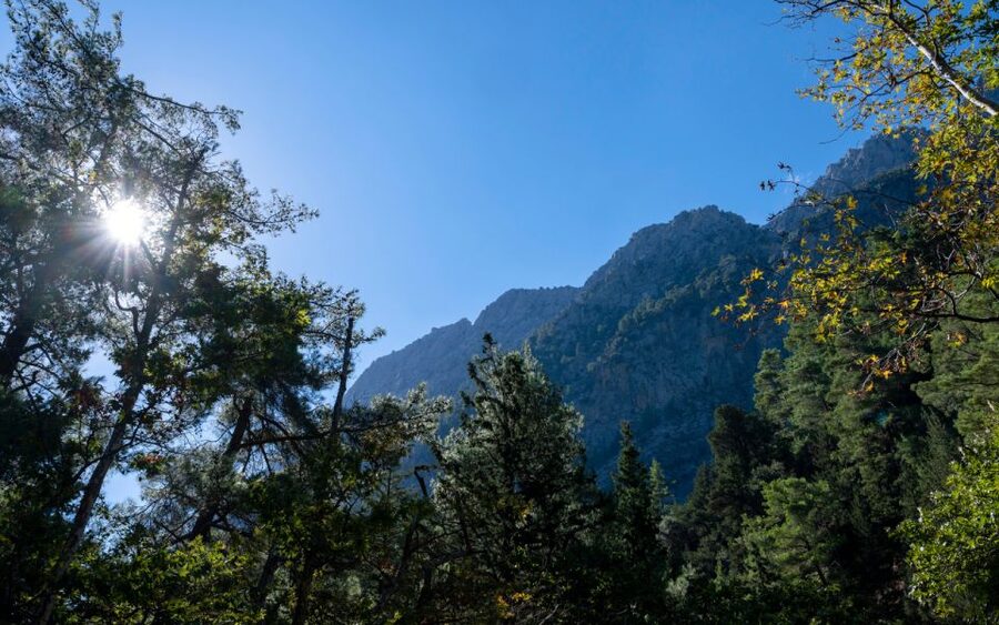From Heraklion: Samaria Gorge Full-Day Guided Hiking Tour - What to pack for a safer, easier walk