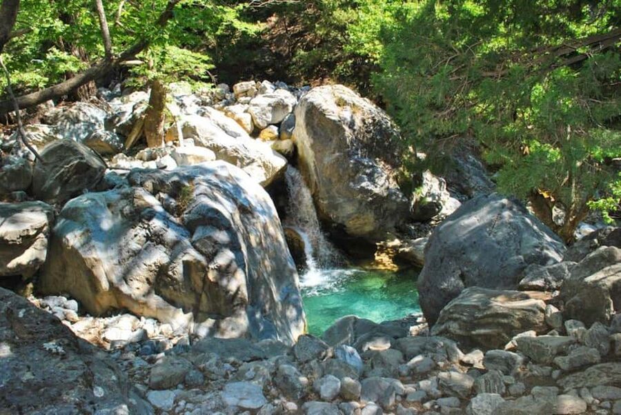 From Heraklion: Samaria Gorge Full-Day Guided Hiking Tour - Reaching Omalos Plateau around 10:00