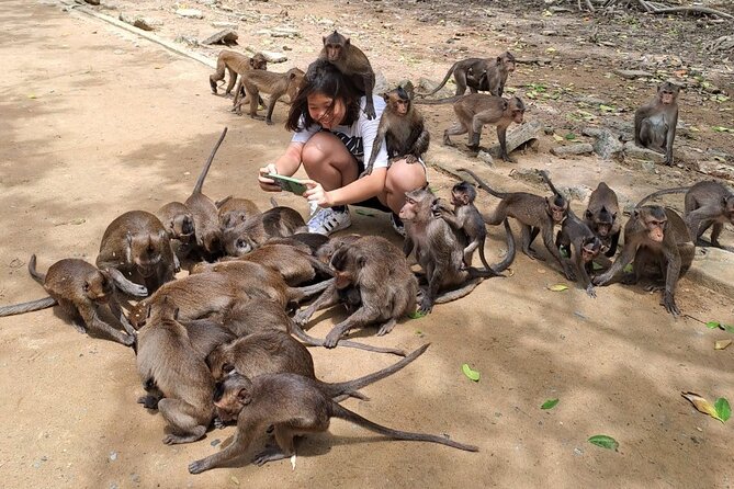 From Ho Chi Minh: Can Gio Trek – Monkey Island & Crocodile Farm - The optional speedboat and what it adds