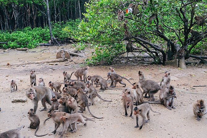 From Ho Chi Minh: Can Gio Trek – Monkey Island & Crocodile Farm - Is $28.50 good value?