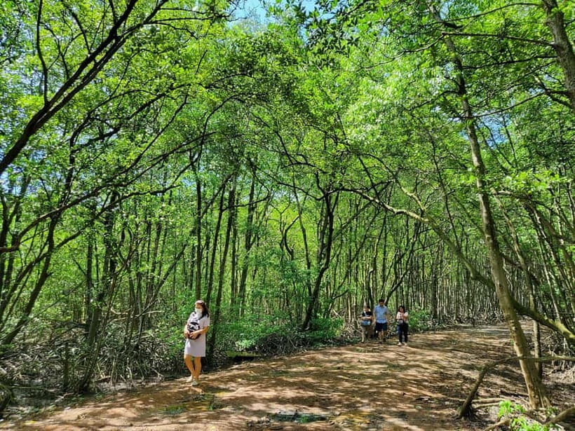 From Ho Chi Minh City: Can Gio Mangrove & Monkey Island Trek - Quick takeaways
