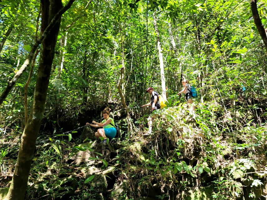 From Hue: Bach Ma National Park Hiking Day Trip with Pickup - Picnic lunch with mountain air
