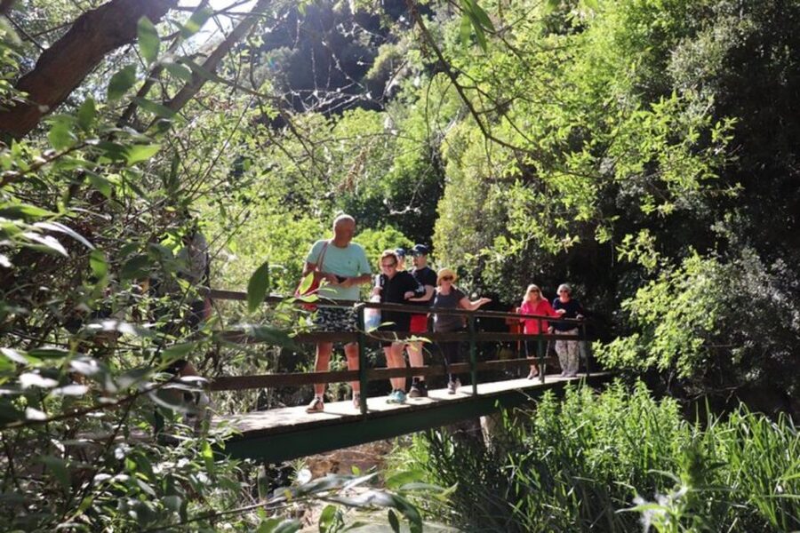 From Kalamata: Polylimnio Waterfalls Guided Hiking Tour - Should you book Polylimnio from Kalamata?