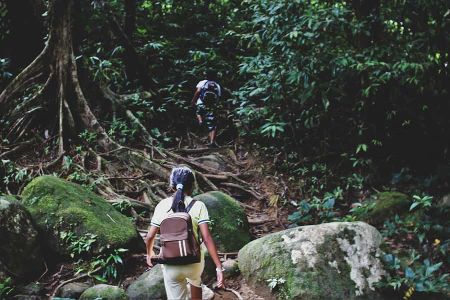 From Khao Lak: Khao Sok Jungle Hike & River Tour - Why this Khao Sok day works so well