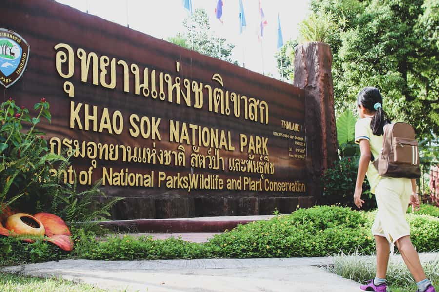 From Khao Lak: Khao Sok Jungle Hike & River Tour - A generous Thai lunch after the walking