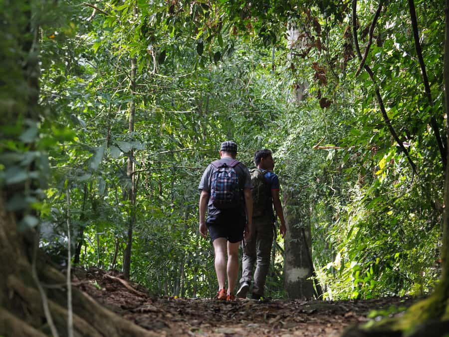 From Khao Lak: Khao Sok Jungle Hike & River Tour - The viewpoint finish